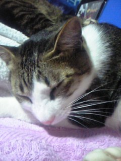 ���₷��`������