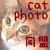 �L�ʐ^������
