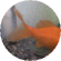 �т݂�`